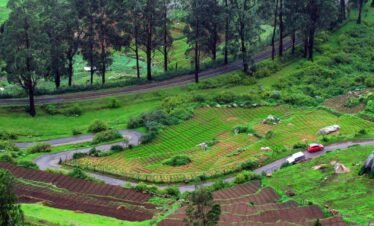 South India Package